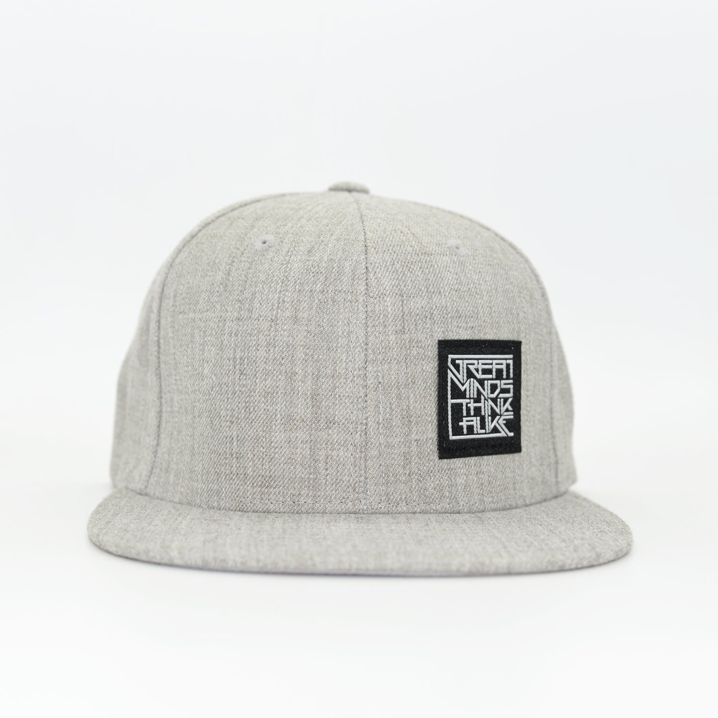 GreatMindsThinkAlike Patch Grey Snapback