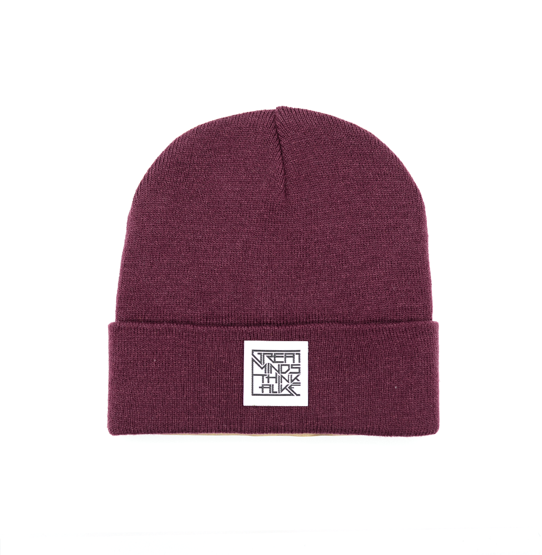 GreatMindsThinkAlike Light Beanie