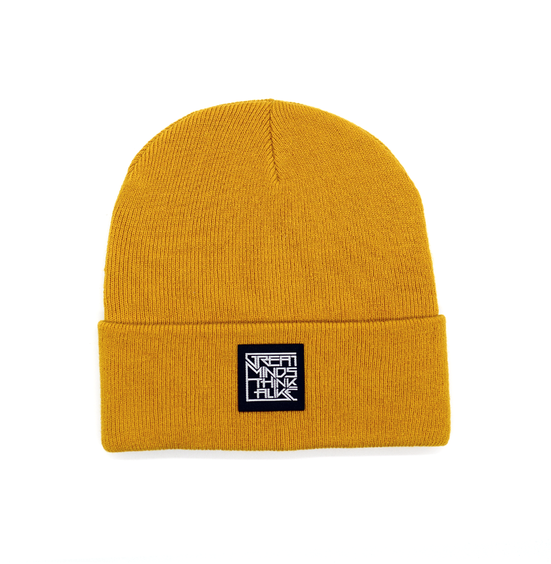 GreatMindsThinkAlike Dark Beanie