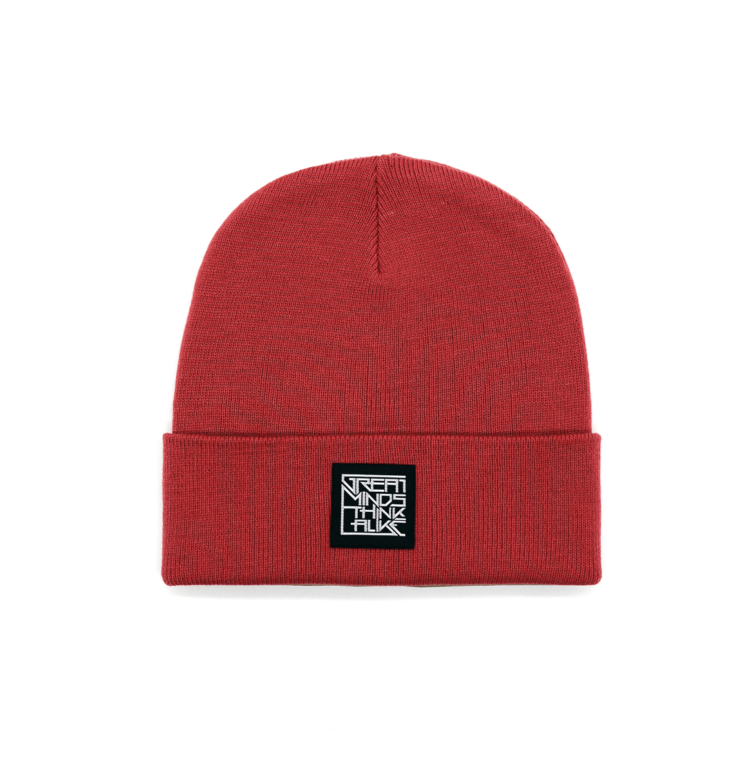 GreatMindsThinkAlike Dark Beanie