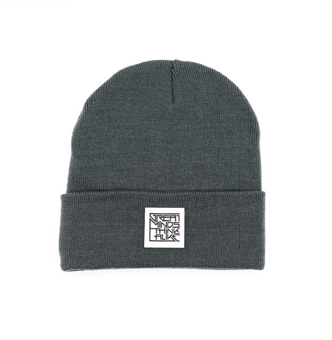 GreatMindsThinkAlike Light Beanie