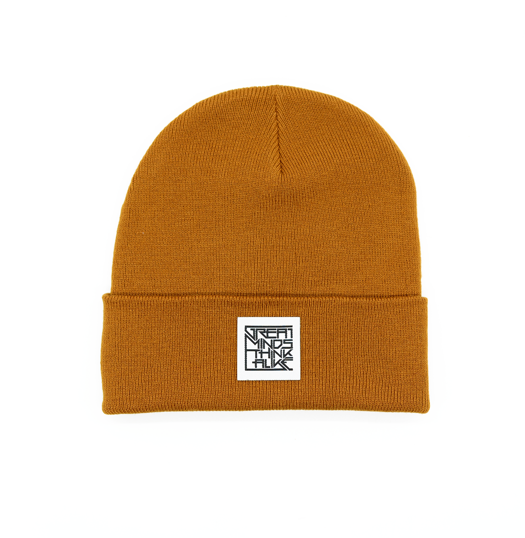 GreatMindsThinkAlike Light Beanie