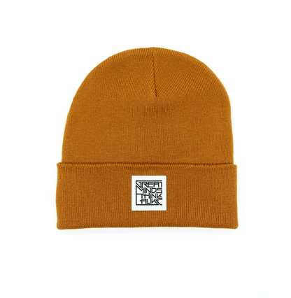 GreatMindsThinkAlike Light Beanie