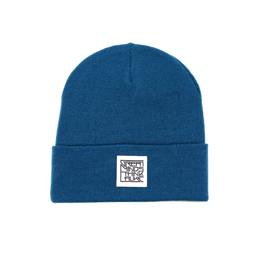 GreatMindsThinkAlike Light Beanie