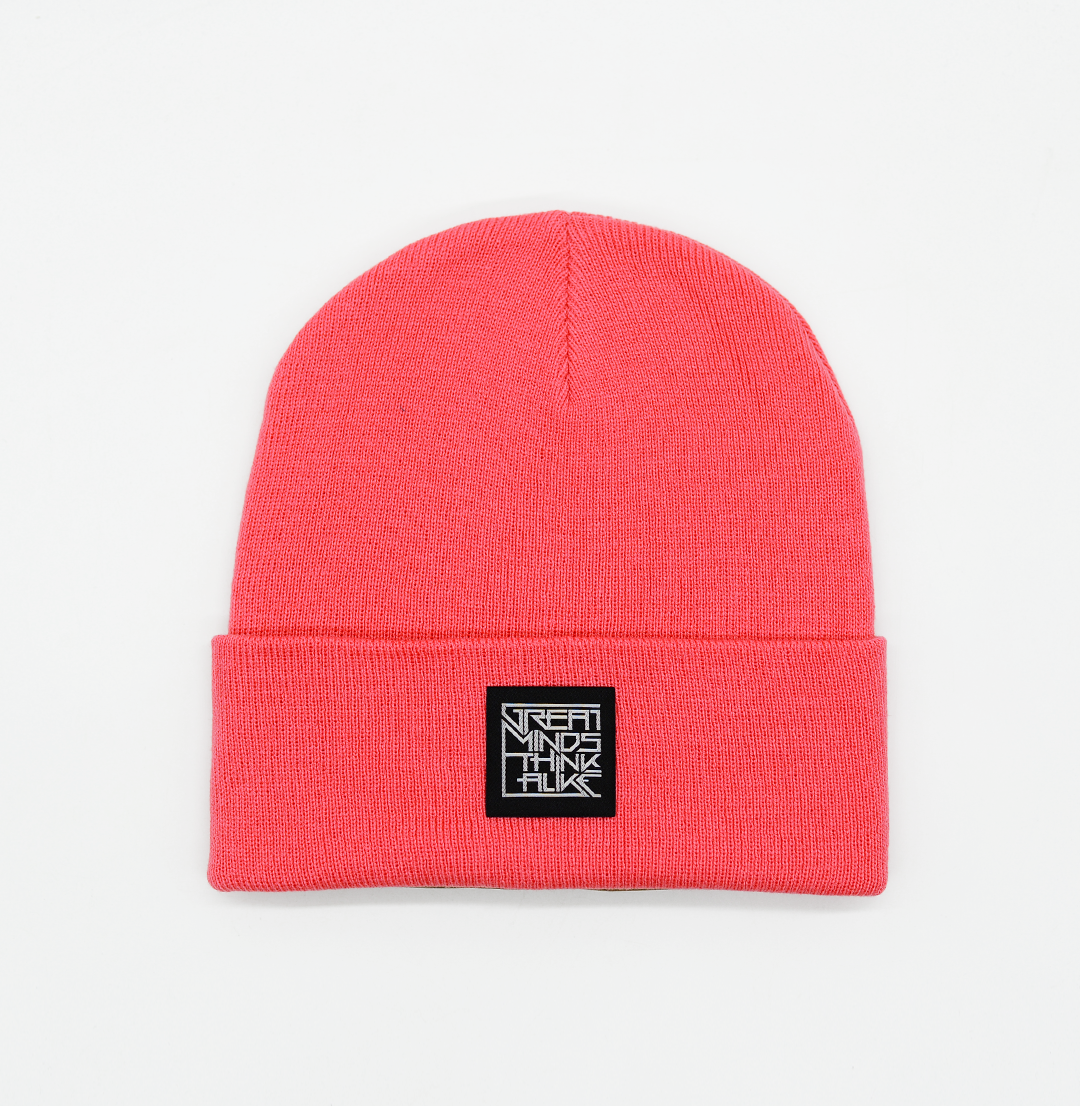GreatMindsThinkAlike Dark Beanie